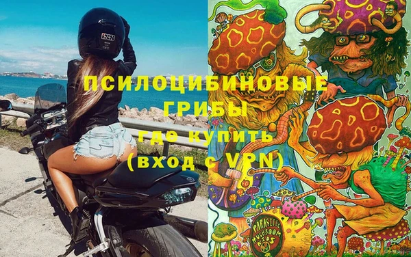 молекула духа Алзамай