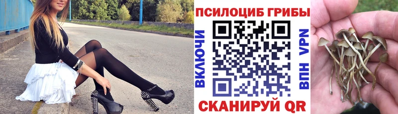 где купить наркоту Карабаново blacksprut зеркало Галлюциногенные грибы MAGIC MUSHROOMS